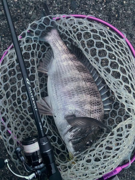 ニュータックル！