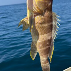 今シーズン初のボート釣り