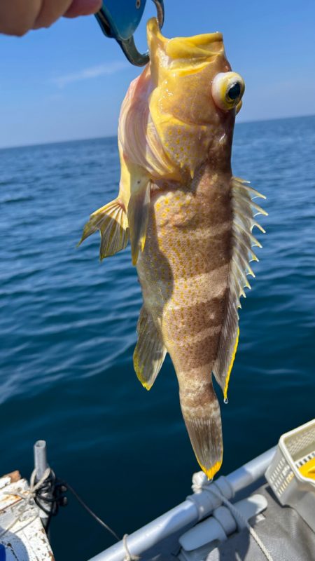 今シーズン初のボート釣り