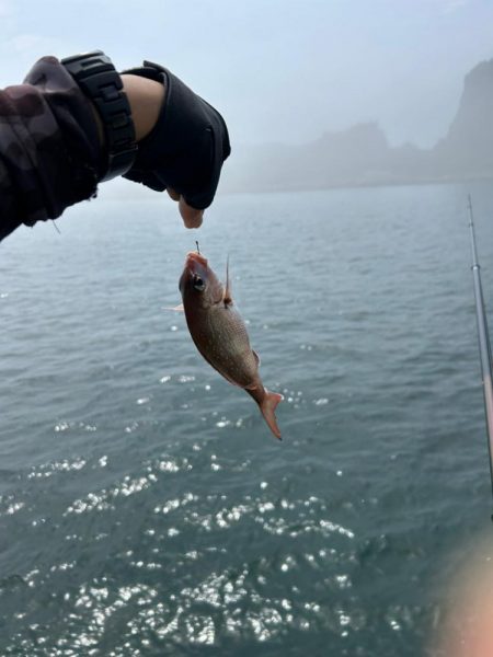 下津井 真鯛フカセ