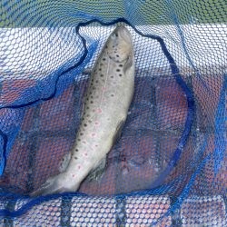 多摩湖フィッシングエリア