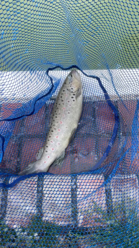 多摩湖フィッシングエリア