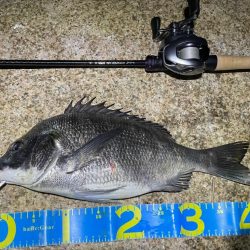 淀川ブリームゲーム