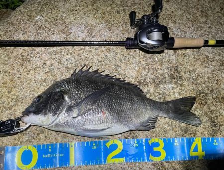 淀川ブリームゲーム