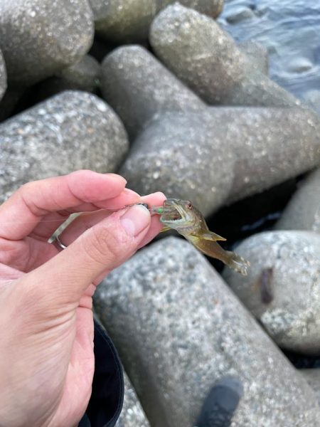 ライトゲーム…