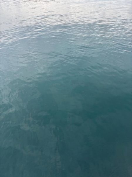 デイエギング 短時間でも釣れた