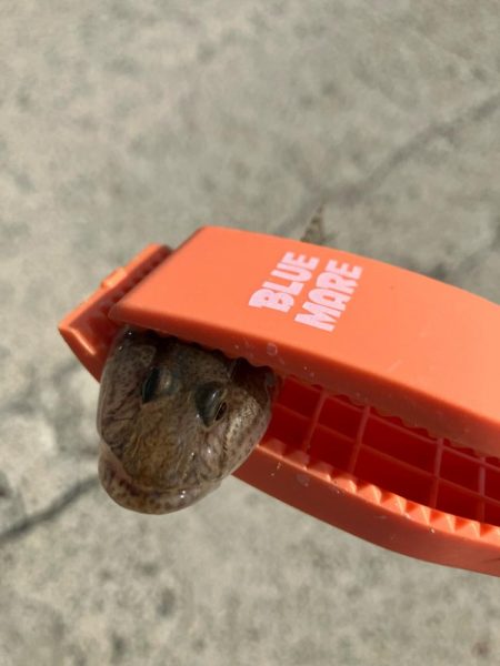 昼からのキス釣り