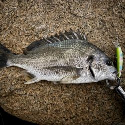 GWはどうでしょう？