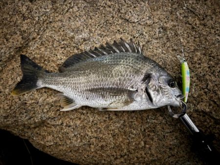 GWはどうでしょう？