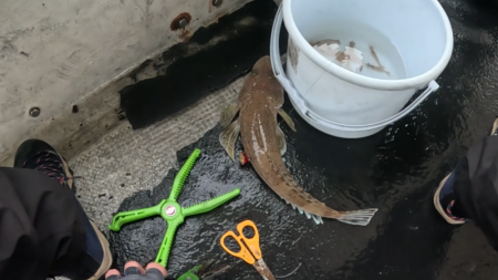 渋すぎヒトツテンヤ