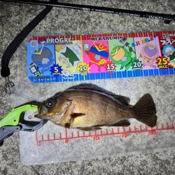 GW後半3日目でやっと釣果を報告できる事に！！