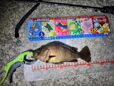 GW後半3日目でやっと釣果を報告できる事に！！