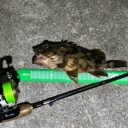 ライトワインド