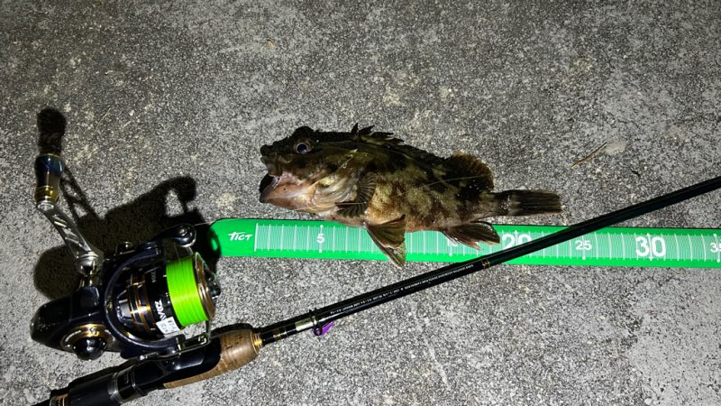 ライトワインド