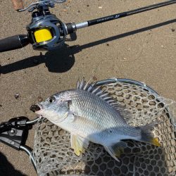 淀川　場所ムラがすごい