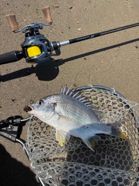 淀川　場所ムラがすごい