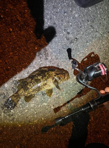 久々のライトゲーム