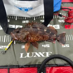 サップフィッシング