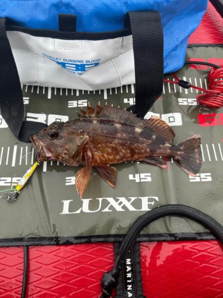 サップフィッシング