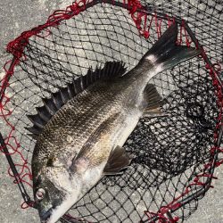 ヘチってきました