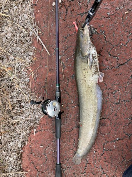雨の後は良く釣れる