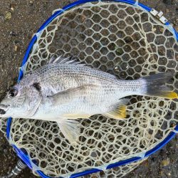 今年3枚目！(笑)