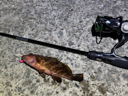 空「たか」ちゃんアジング大会
