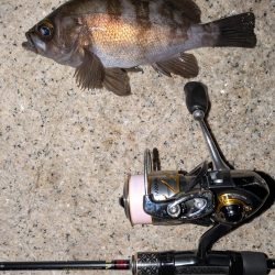 ゴールデンウィーク