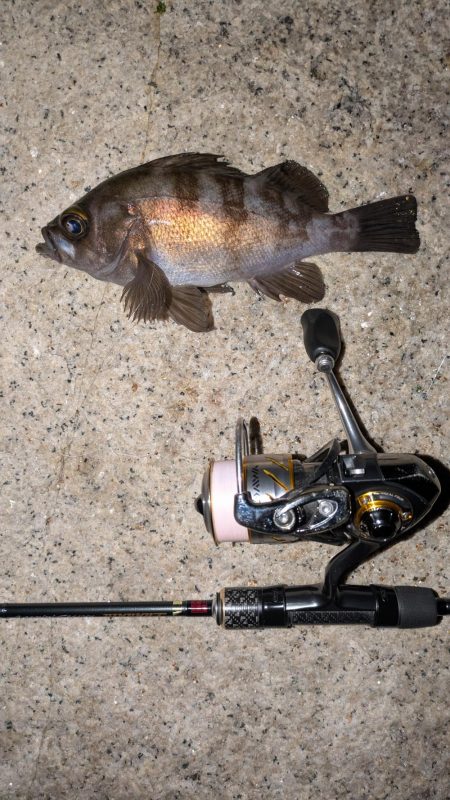 ゴールデンウィーク