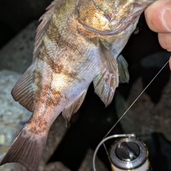 数は出るけど···