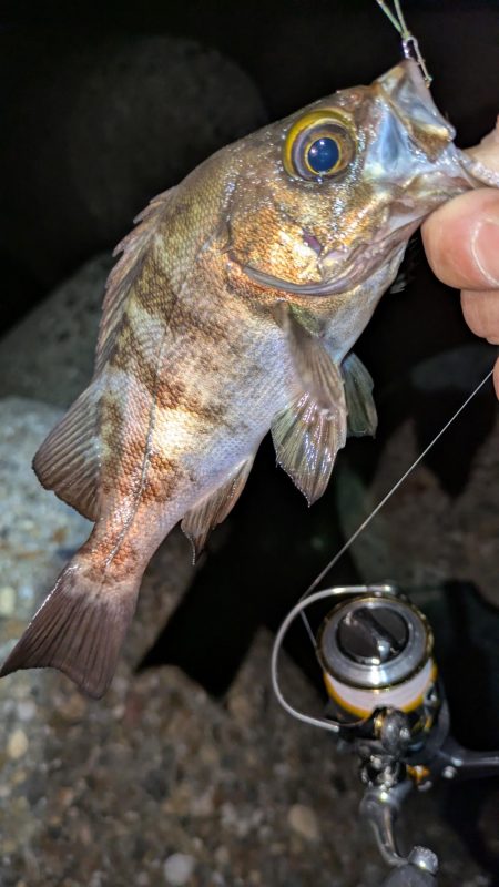 数は出るけど···