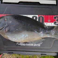 ショアジギングでまさかのグレ