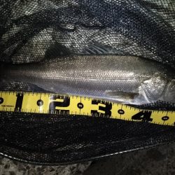 バレるバレる…