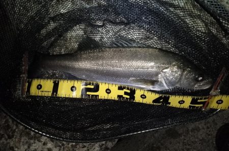 バレるバレる…