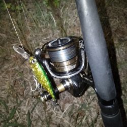 岸壁ノックテクトロでヒット