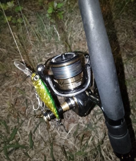 岸壁ノックテクトロでヒット