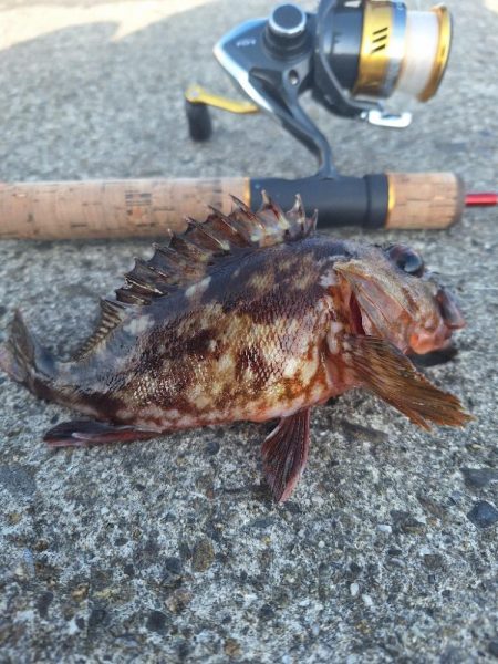 徳島ラスト釣行