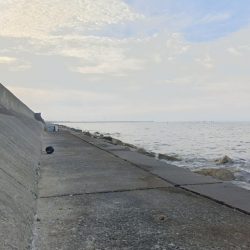 苅屋海岸のキス釣り