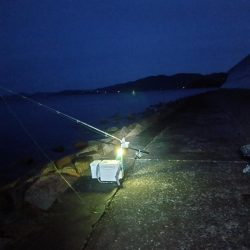 苅屋海岸のキス釣り