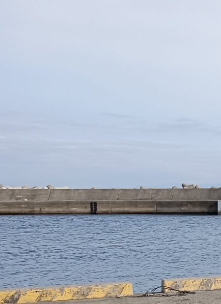 仮屋、サビキ釣り