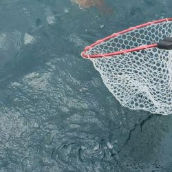 レンタルボートエンジョイ