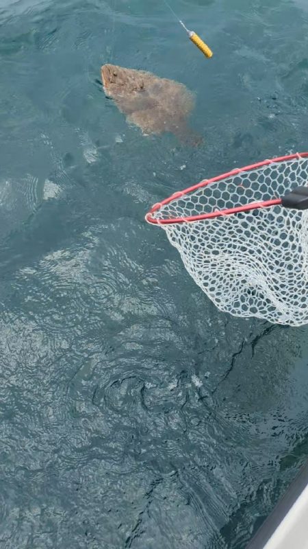 レンタルボートエンジョイ