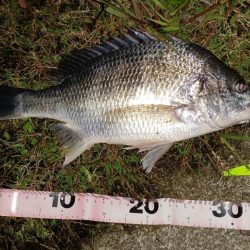 バイブレーションローテーション