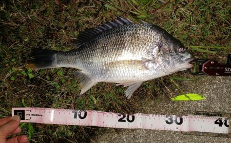 バイブレーションローテーション