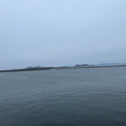 今日はクリアレッド