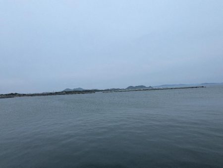 今日はクリアレッド