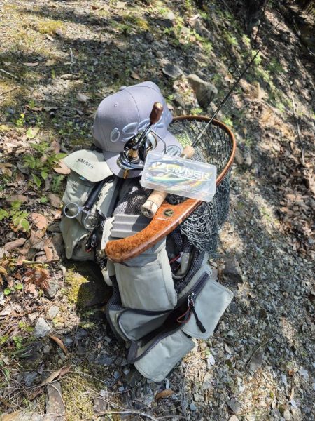 美人が出てくれました