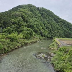 バラシ多すぎた、反省やな