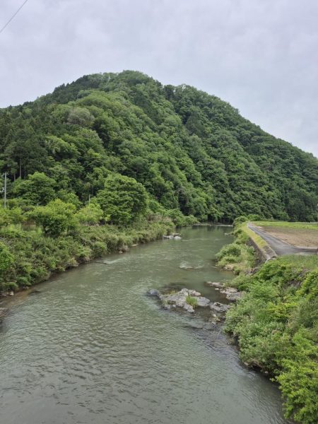 バラシ多すぎた、反省やな
