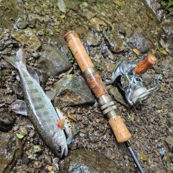 暴風なんで山へ